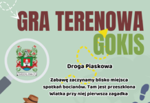 GRA TERENOWA W SIEDLISKU GOKIS
